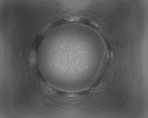 X0000084031443200702232246