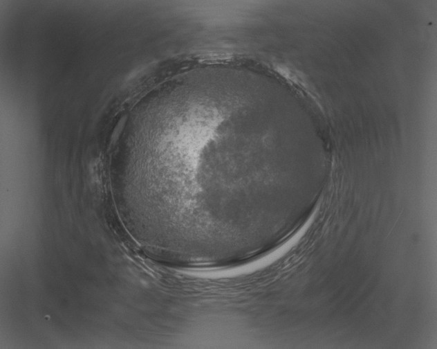 X0000084031445200702232246