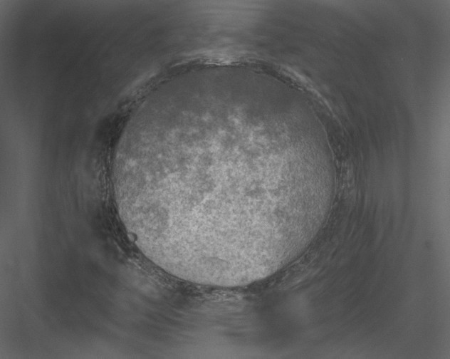 X0000084031446200702232246