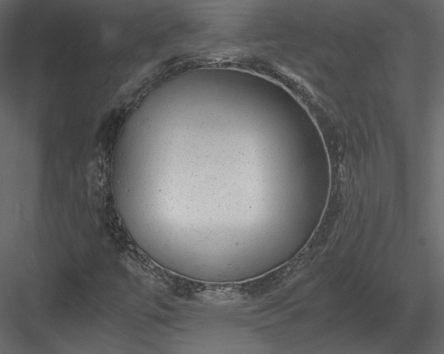 X0000084031447200702232246