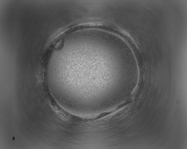 X0000084031448200702232246