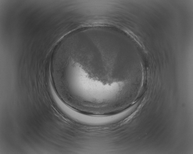 X0000084031449200702232246