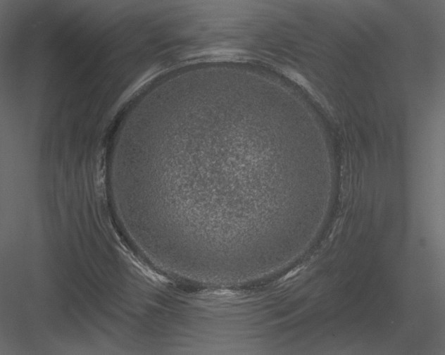 X0000084031450200702232246