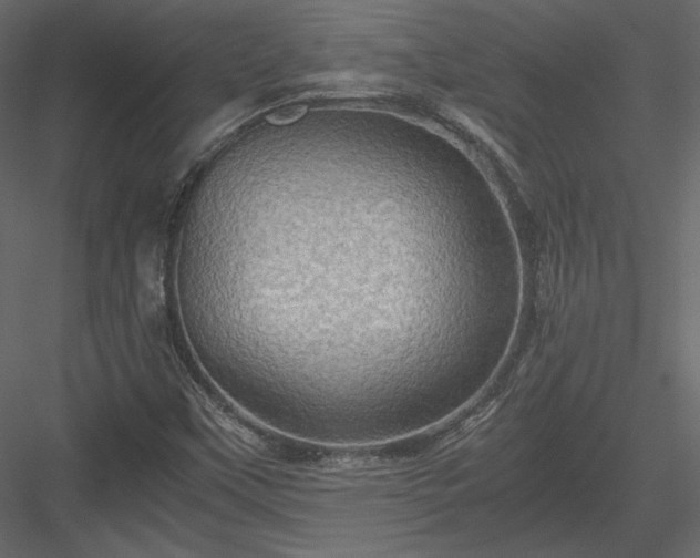 X0000084031451200702232245