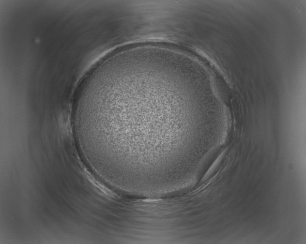 X0000084031452200702232245