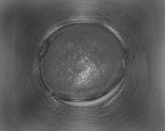 X0000084031453200702232245