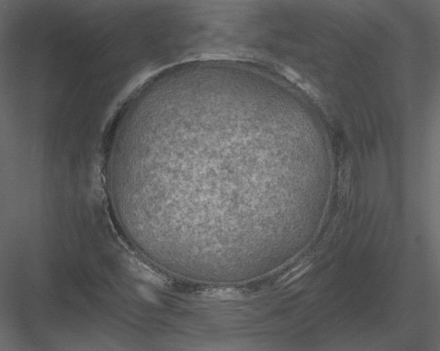 X0000084031454200702232245