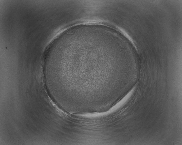 X0000084031456200702232245