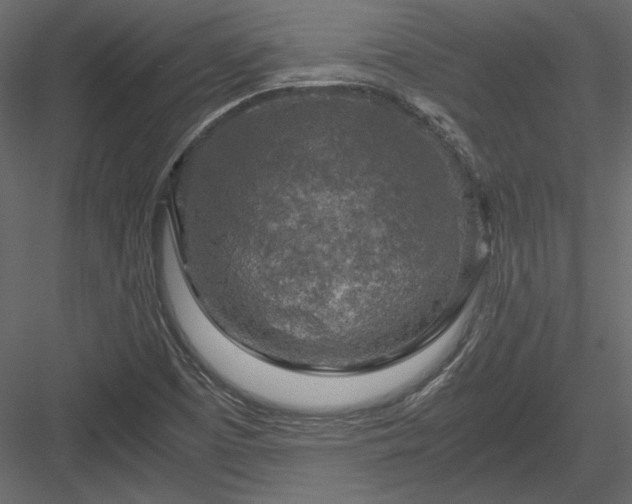 X0000084031457200702232245