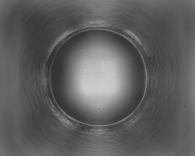 X0000084031458200702232245