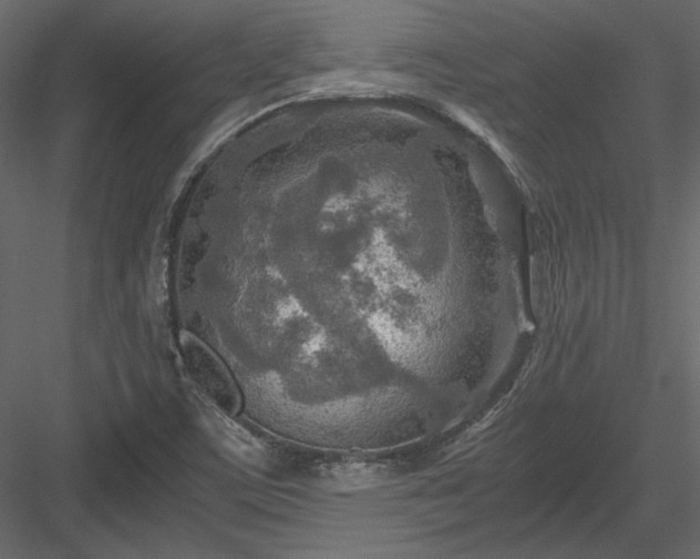 X0000084031459200702232245