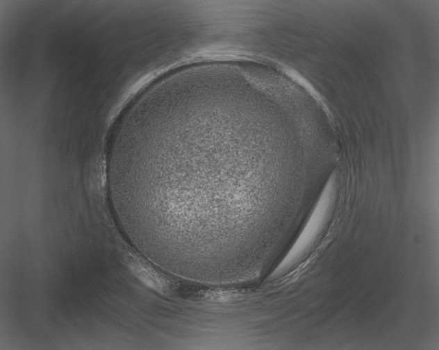 X0000084031461200702232245