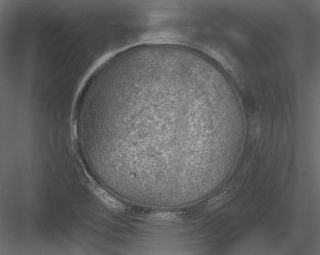 X0000084031462200702232245