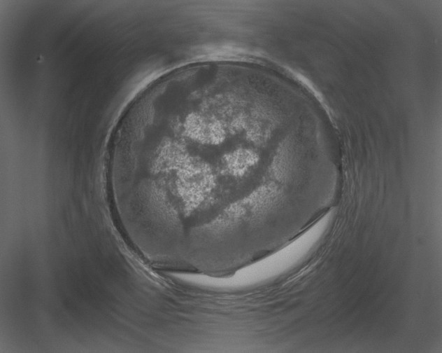 X0000084031463200702232245