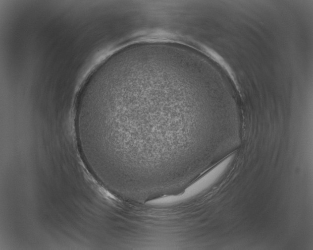 X0000084031464200702232245