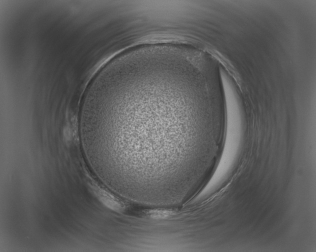 X0000084031465200702232245