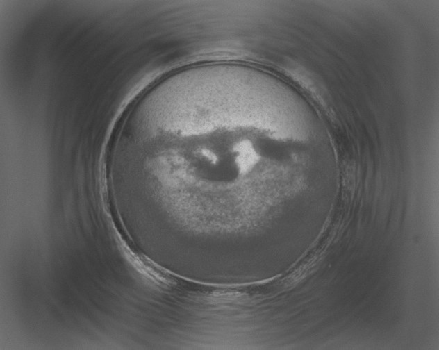 X0000084031466200702232245