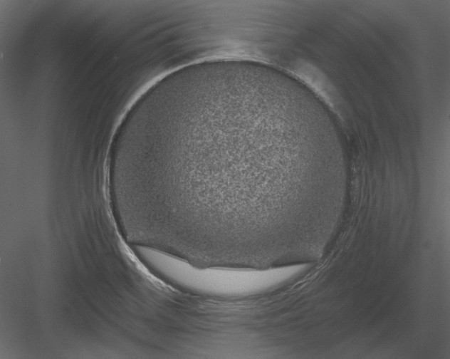 X0000084031468200702232245