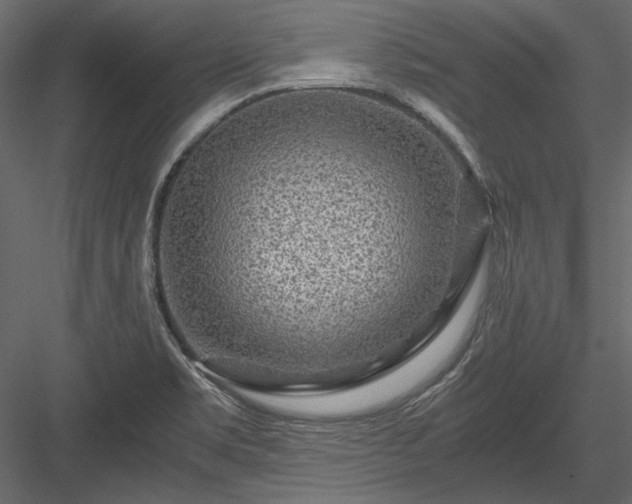 X0000084031469200702232245