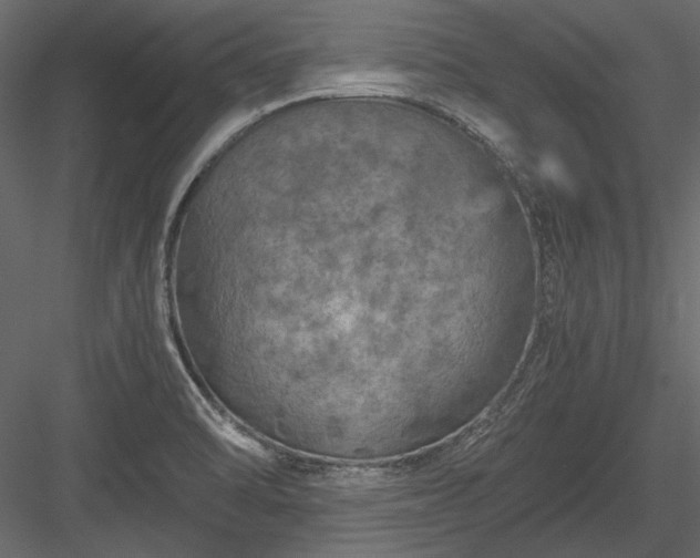 X0000084031470200702232245