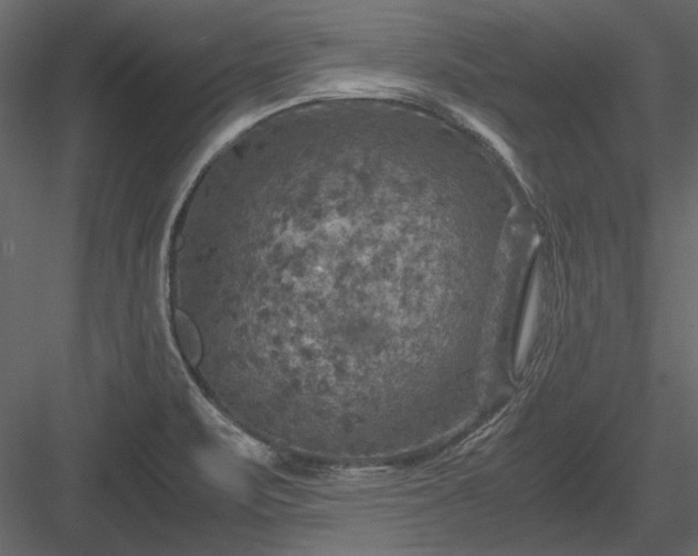 X0000084031471200702232245