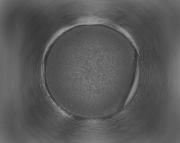 X0000084031472200702232245