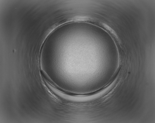 X0000084031473200702232245