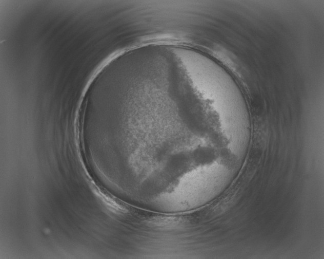 X0000084031474200702232245