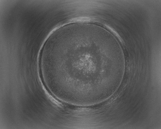 X0000084031475200702232245