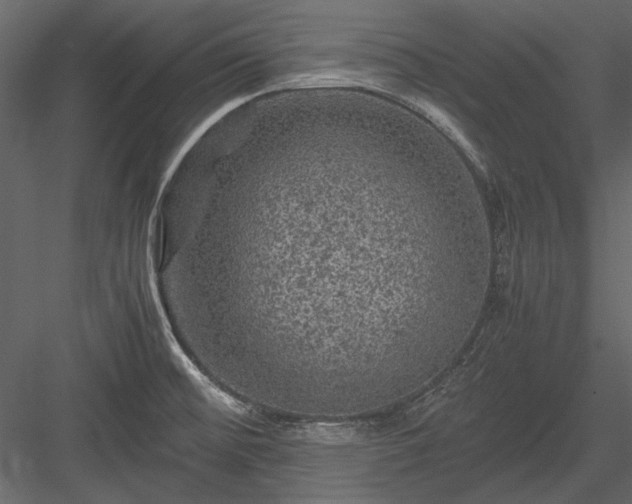 X0000084031476200702232245