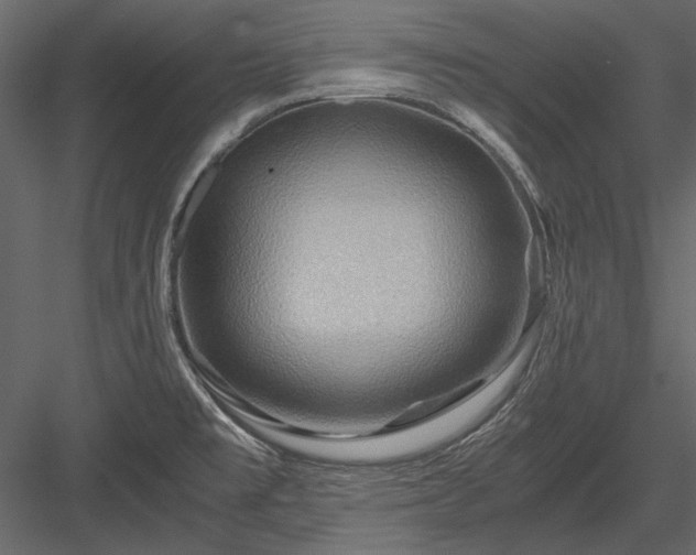 X0000084031477200702232245