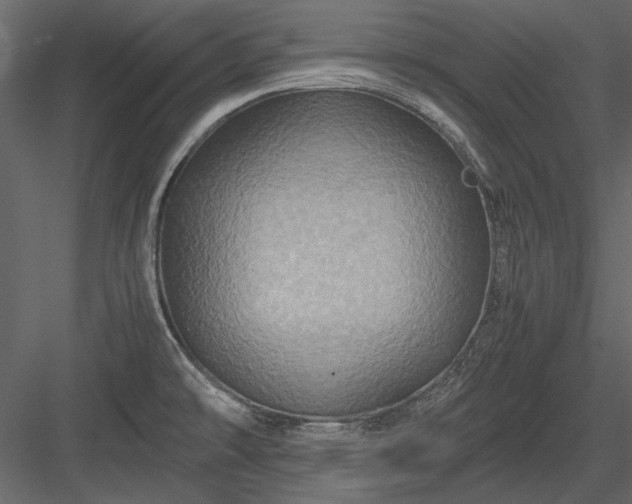 X0000084031478200702232245