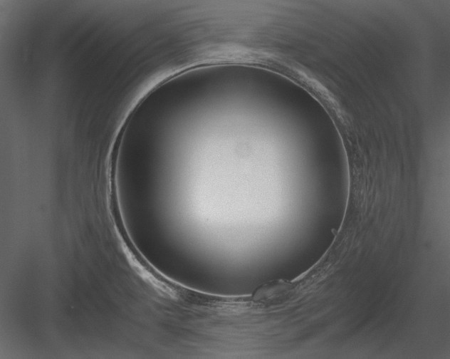 X0000084031479200702232245