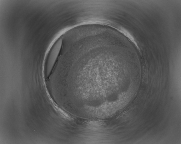 X0000084031480200702232245