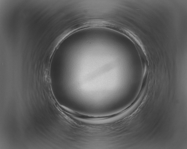 X0000084031481200702232245