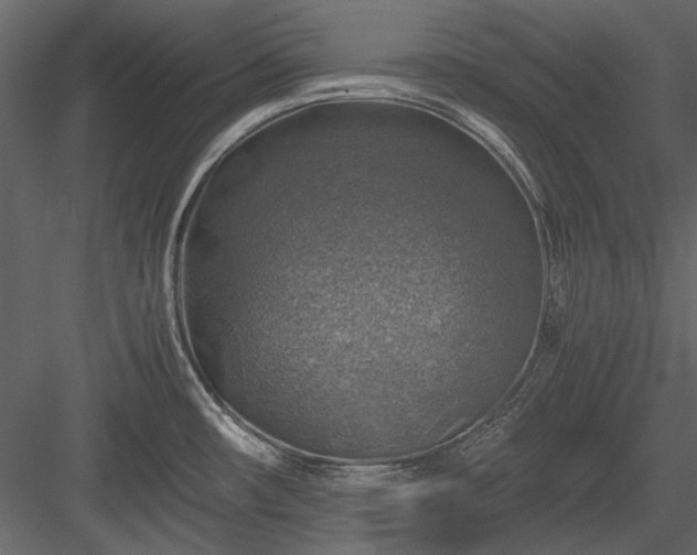 X0000084031482200702232245