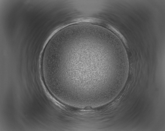 X0000084031483200702232245