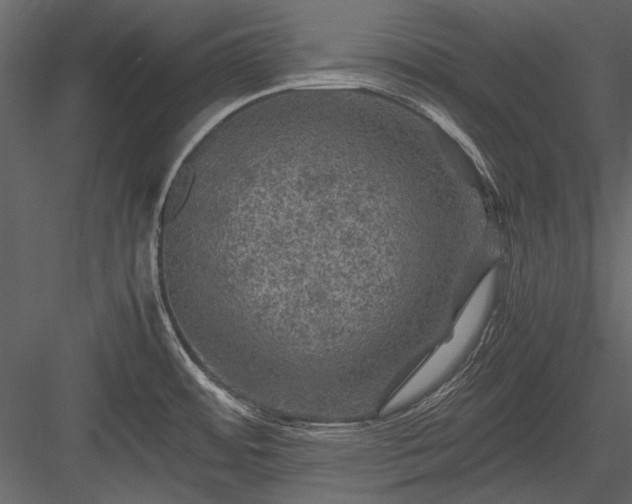 X0000084031484200702232245