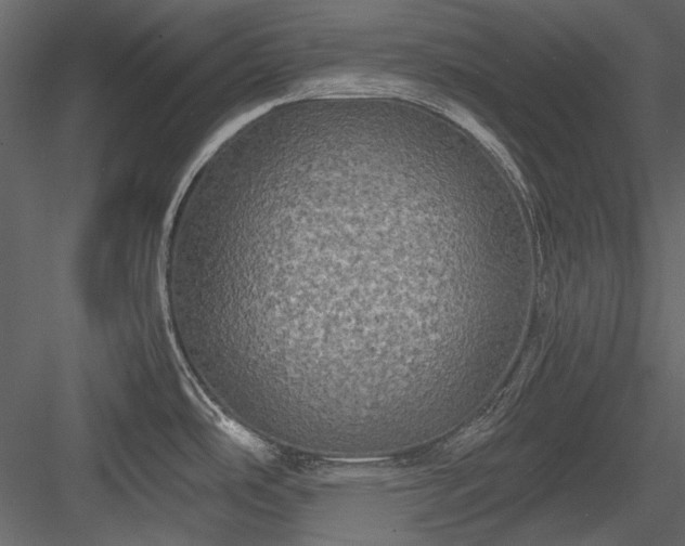 X0000084031486200702232245