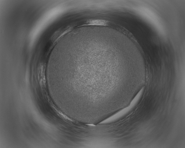 X0000084031487200702232245