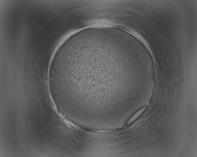 X0000084031488200702232245