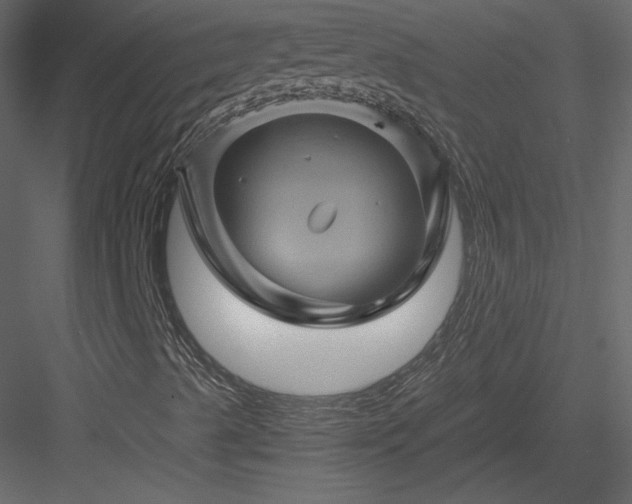 X0000084031489200702232244