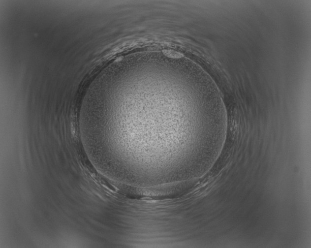 X0000084031490200702232244