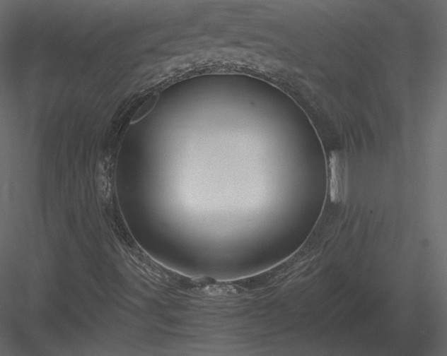 X0000084031491200702232244