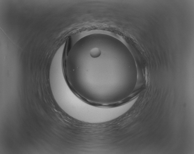 X0000084031492200702232244