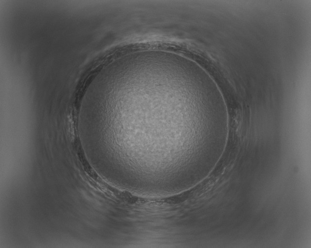 X0000084031493200702232244