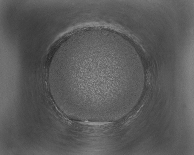 X0000084031494200702232244