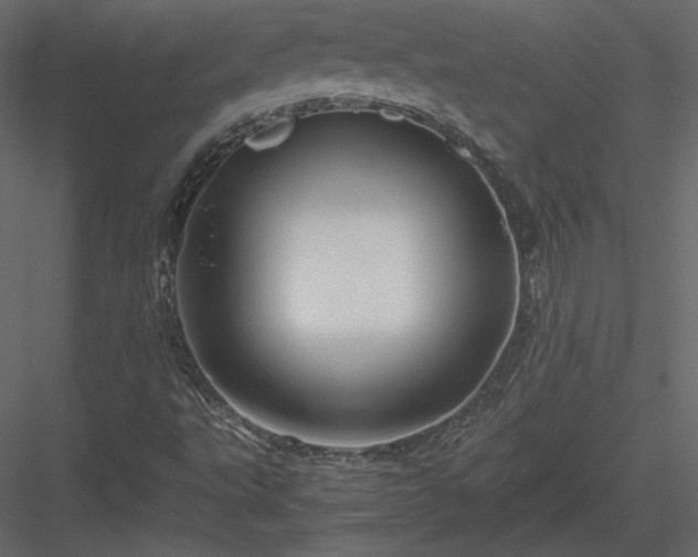 X0000084031495200702232244