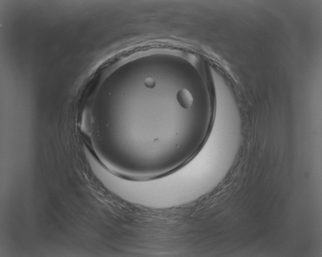 X0000084031496200702232244