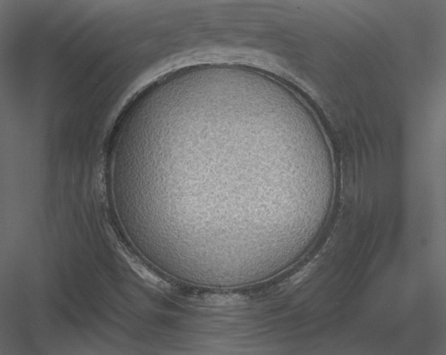 X0000084031498200702232244